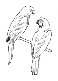 bird coloring pages - page 68