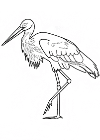 bird coloring pages - page 70