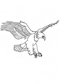 bird coloring pages - page 71