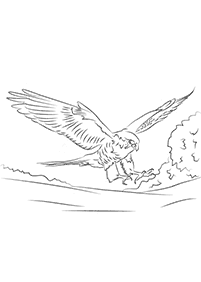 bird coloring pages - page 73