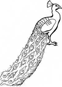 bird coloring pages - page 81