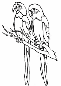 bird coloring pages - page 82