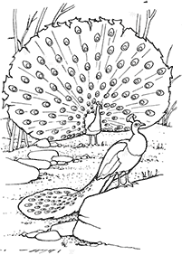 bird coloring pages - page 83