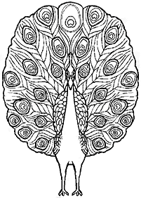 bird coloring pages - page 84