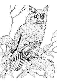 bird coloring pages - page 85