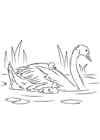 bird coloring pages - page 87