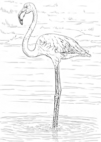 bird coloring pages - page 89
