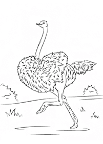 bird coloring pages - page 93