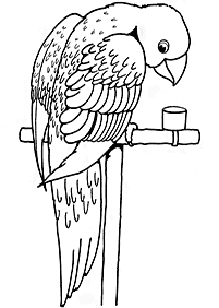 bird coloring pages - page 96
