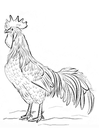 bird coloring pages - page 99