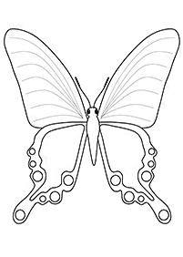 butterfly coloring pages - page 32