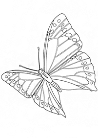 butterfly coloring pages - page 38