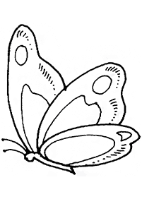 butterfly coloring pages - page 53