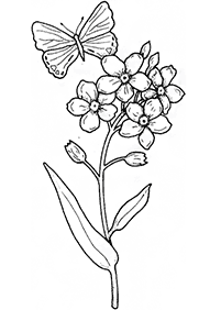 butterfly coloring pages - page 65