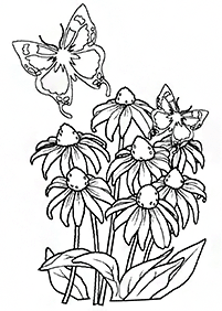 butterfly coloring pages - page 87