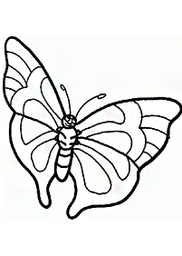butterfly coloring pages - page 89