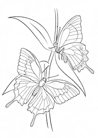 butterfly coloring pages - page 9