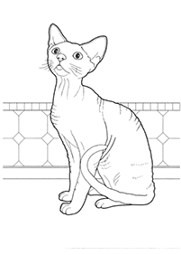 cat coloring pages - Page 29
