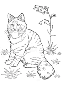 cat coloring pages - page 37