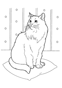 cat coloring pages - page 41