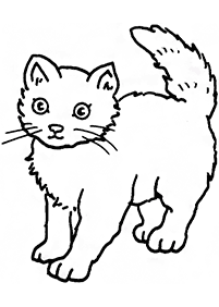 cat coloring pages - page 45