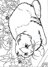 cat coloring pages - page 88
