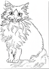 cat coloring pages - page 89