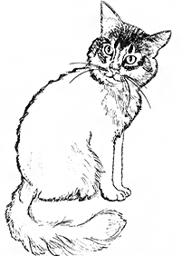 cat coloring pages - page 94