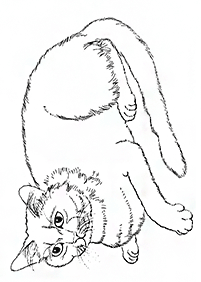 cat coloring pages - page 95