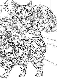 cat coloring pages - page 96