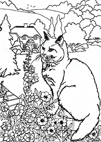 cat coloring pages - page 98
