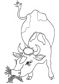 cow coloring pages - Page 22
