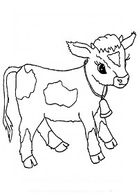 Cows Coloring Pages Index