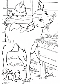 cow coloring pages - Page 29