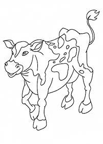 cow coloring pages - page 44