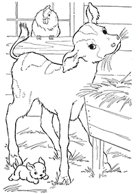 cow coloring pages - page 57