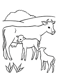 cow coloring pages - page 61
