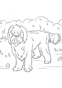 dogs coloring pages - page 1