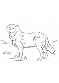dogs coloring pages - Page 21