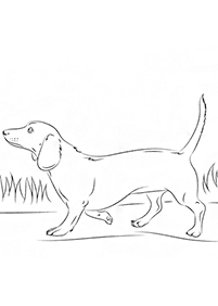 dogs coloring pages - Page 29