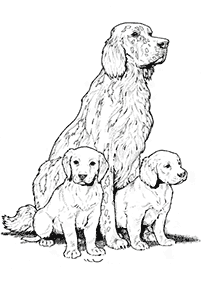 dogs coloring pages - page 37