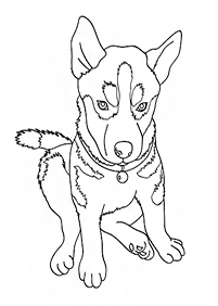 dogs coloring pages - page 42