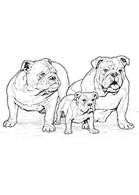 dogs coloring pages - page 45