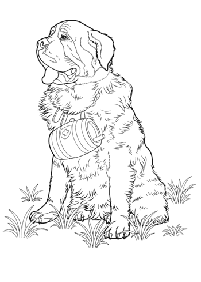 dogs coloring pages - page 49
