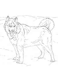 dogs coloring pages - page 5