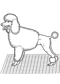 dogs coloring pages - page 53