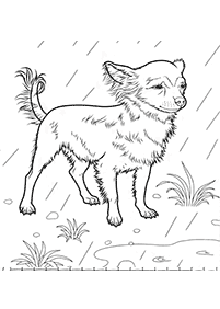 dogs coloring pages - page 57