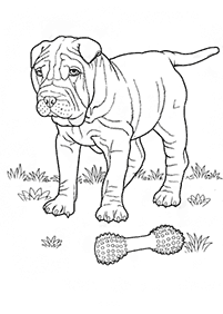 dogs coloring pages - page 61