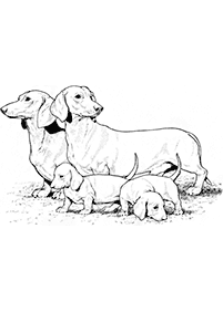 dogs coloring pages - page 73