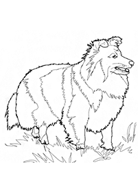 dogs coloring pages - page 77